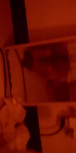 妻子的品箫